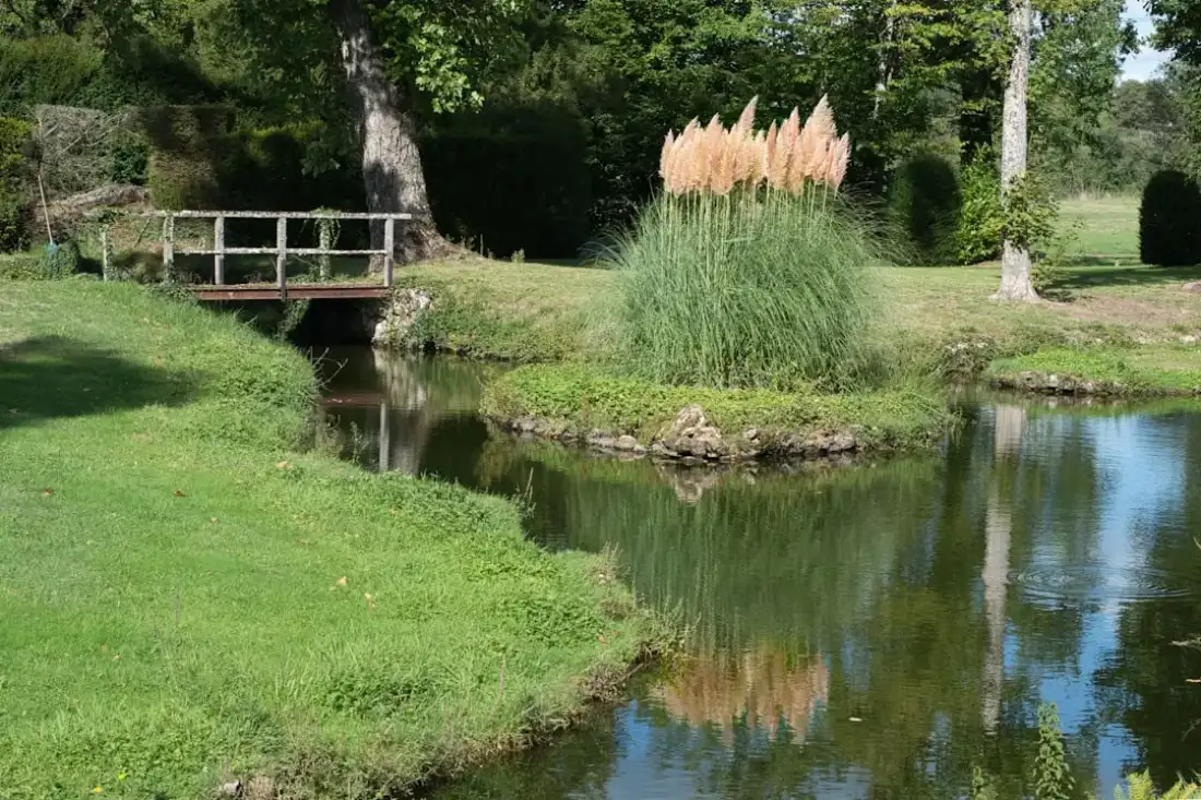 Natural biotope pond with a grassy island and a wooden bridge